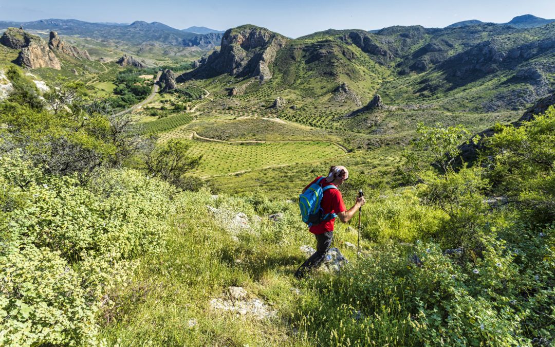 Ruta 4: Por el Meandro del Jalón, Jabacín y Baldío