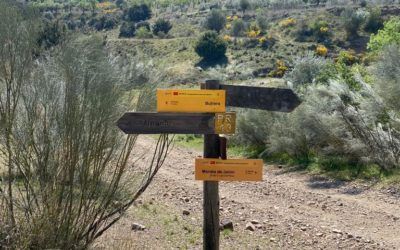 Los voluntarios reponen las señales vandalizadas