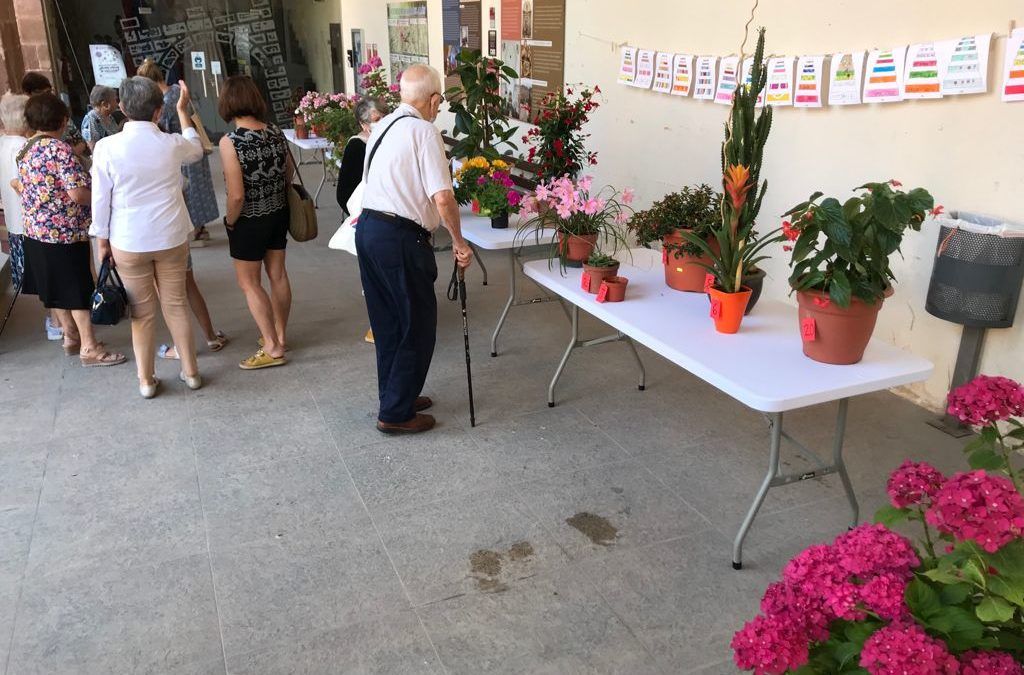 Éxito de la primera exposición concurso de macetas