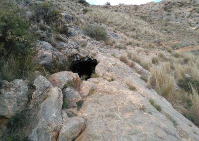 Ruta 5: Cueva La Sudor