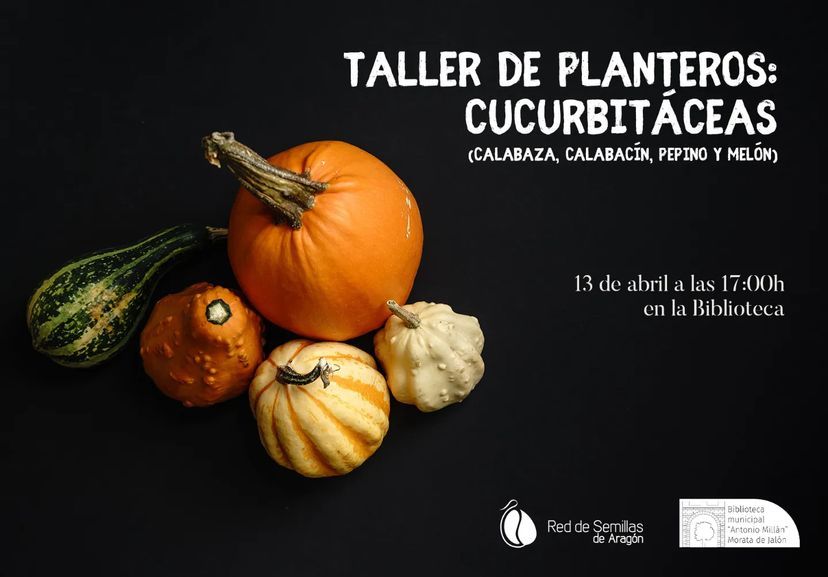 TALLER DE PLANTEROS: CUCURBITÁCEAS